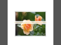 19 Inch Industrial TFT LCD Display 1280x1024 250nits