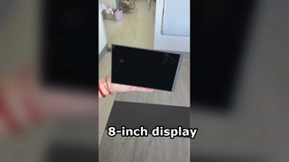 8 Inch TFT LCD Display